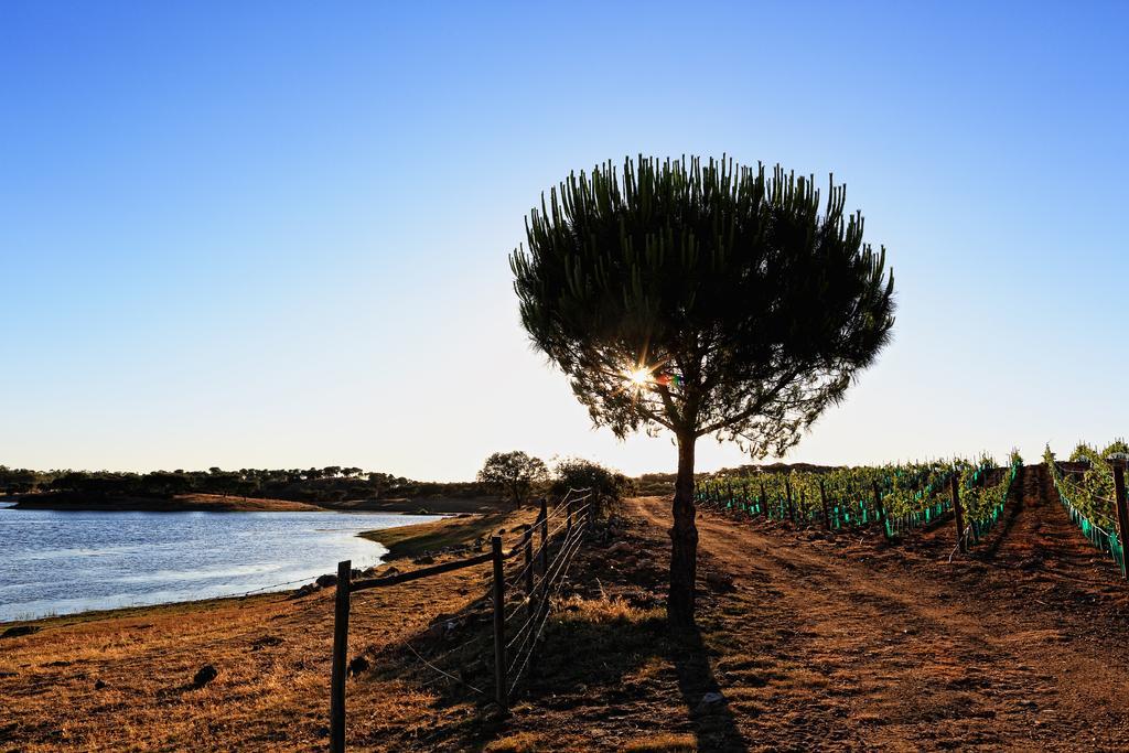 Herdade Da Calada Azaruja Экстерьер фото