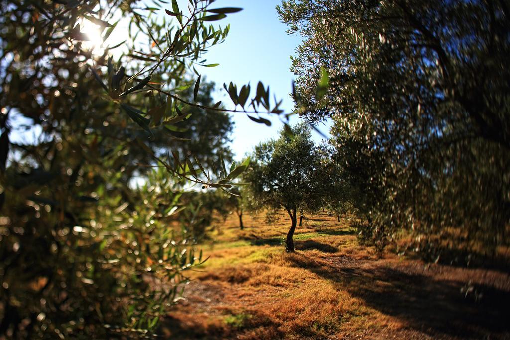 Herdade Da Calada Azaruja Экстерьер фото