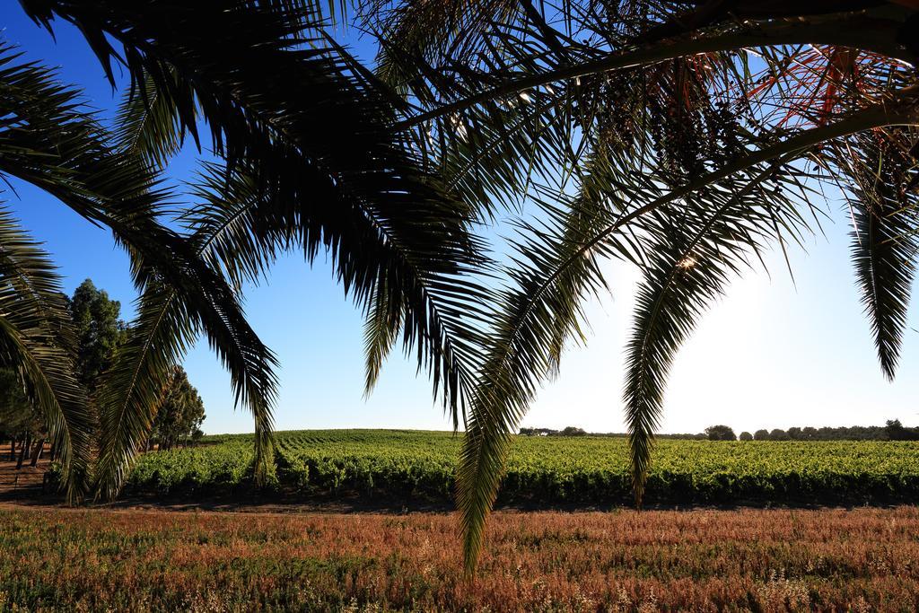Herdade Da Calada Azaruja Экстерьер фото