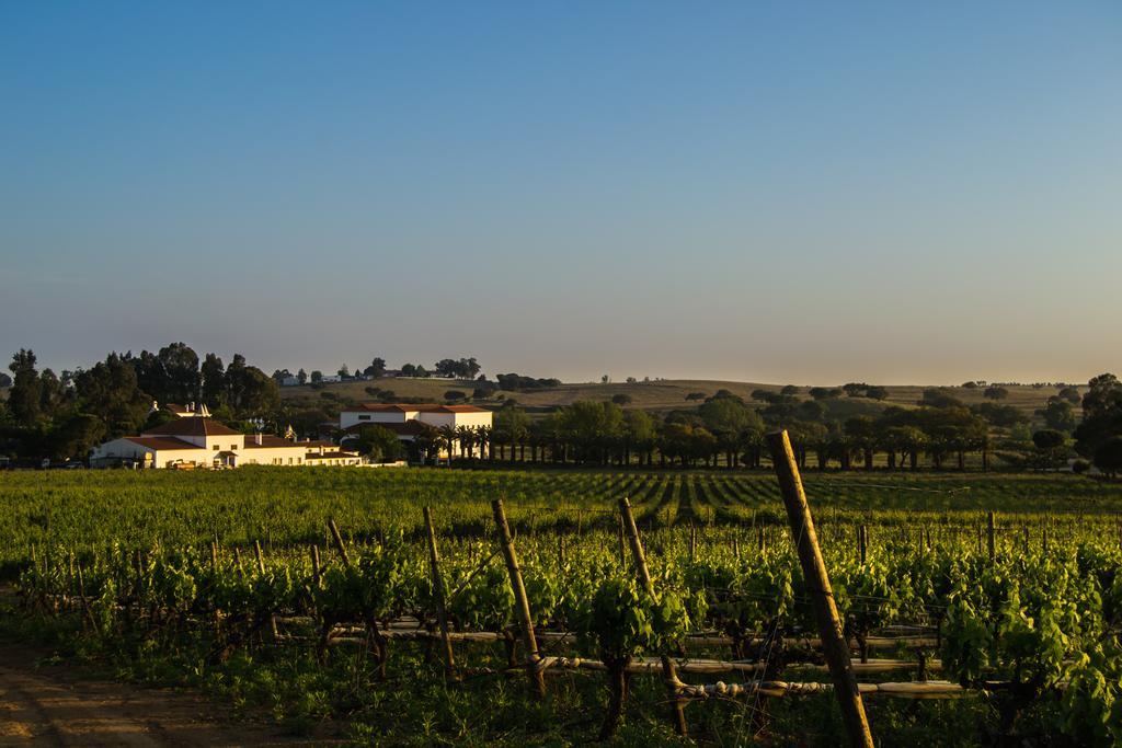 Herdade Da Calada Azaruja Экстерьер фото