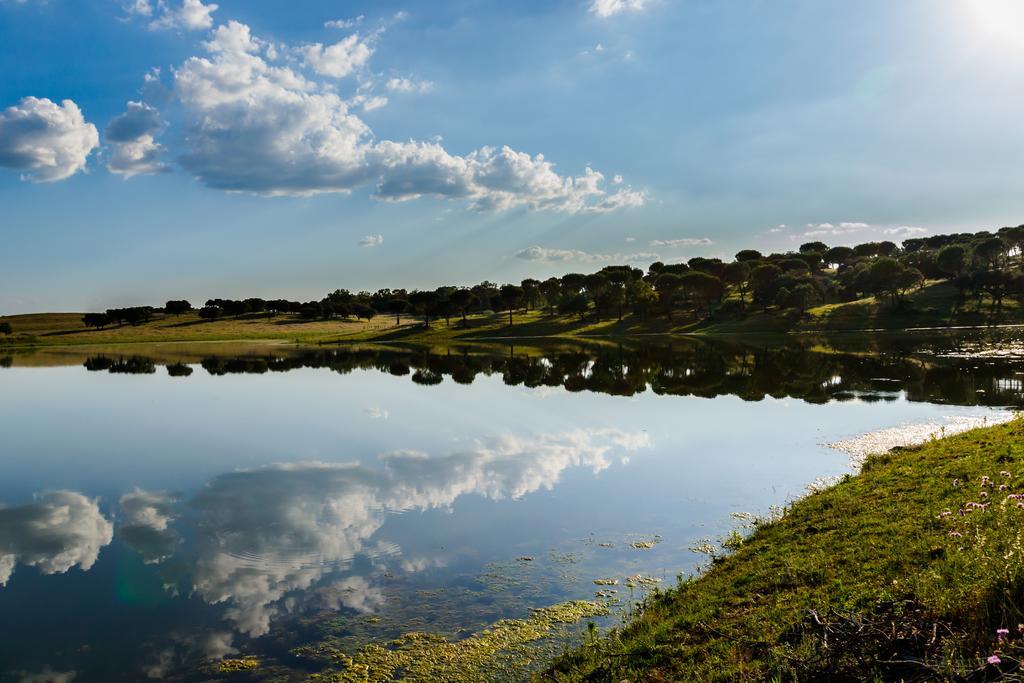 Herdade Da Calada Azaruja Экстерьер фото