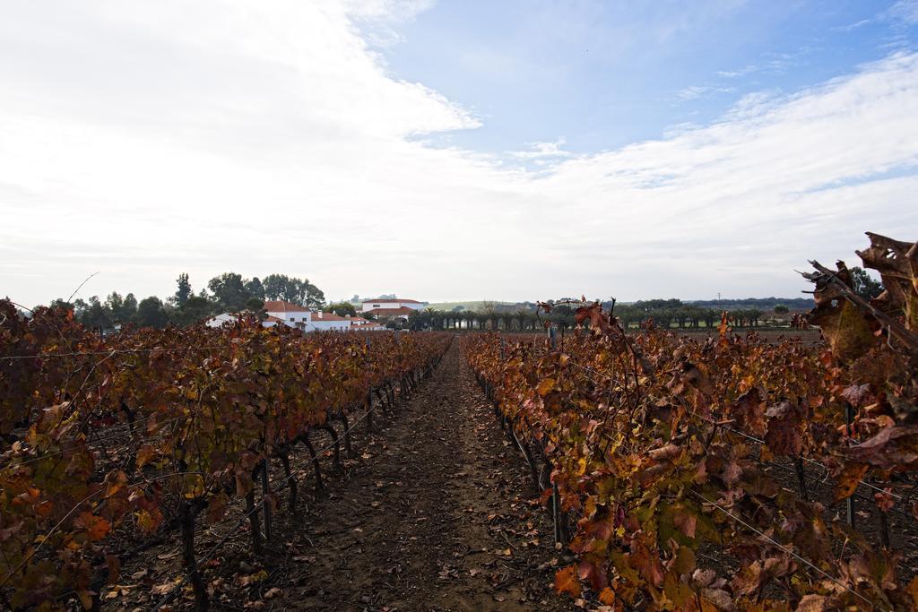 Herdade Da Calada Azaruja Экстерьер фото
